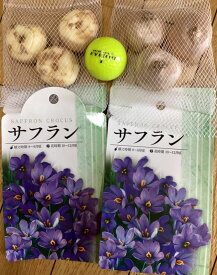 大球パープル サフラン球根5球入り6月から販売開始です。鉄砲ゆり 「日の本」予約受付中オリエンタルゆり 「ビックスマイル」予約受付中オリエンタルゆり「ウエデイングマーチ」予約受付中山ゆり「オーラタムゴールドバンド」予約受付中です。