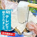 続々新入荷！【白イカの姿造り】天然 冷凍 ケンサキイカ 剣先イカ 産地直送 Mサイズ Lサイズ 白いか いか 剣先 白イカ シロイカ 刺身 日本海 晩酌 お取り寄せグルメ イカ 姿造り 刺身 新鮮 お造り おつまみ 魚介 海鮮 姿造り お刺身 送料無料 京都 京丹後 久美浜