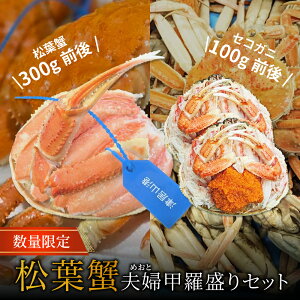 yz ^Ot tKj  ZCRKj Kj b苞sČ ʌ ɂ݂ CN VN Ⓚ Mtg v[g Ɍ ËR Zbg vwZbg@yς݁z