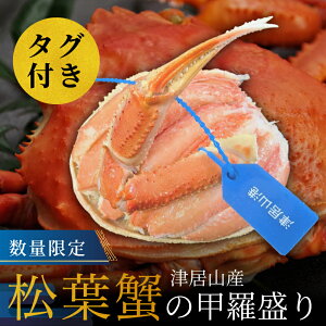 yz ^Ot tKj b苞sČ ʌ ɂ݂ CN VN Ⓚ Mtg v[g Ɍ ËRyς݁z