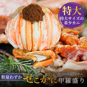 yZRKjbz sČ  ʌ b   ZCRKj Kj tKj I YCKj ɂ݂ CN VN Ⓚ Mtg v[g Ɍ ËR 2Zb