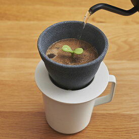 アッシュコンセプト コーヒーフィルター キノメ セラミックコーヒーフィルター 木の芽 KINOME プラスディープラスディー セラフィルター