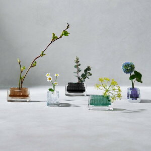 +d ~`NTI[o ԕr AbVRZvg ֑} t[x[X Ԋ  {