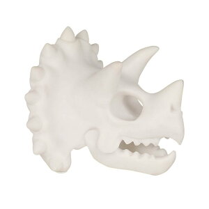 �_���g�� �X�P���g�� �w�b�h ���� DULTON Skeleton Head �y���X�^���h ���K�l�X�^���h ���K�l�z���_�[ �I�u�W�F �C���e���A �u�� �[�� �X�J�� ������� �M�t�g