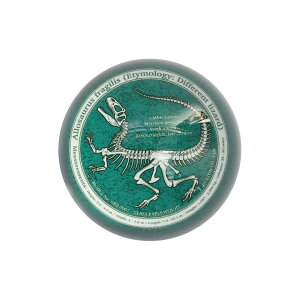 �_���g�� �K���X �y�[�p�[�E�F�C�g ����