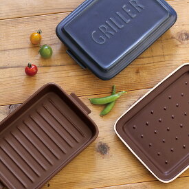 グリラー グリルプレート 魚焼きグリルプレート イブキクラフト TOOLS ツールズ 電子レンジ 直火 オーブン対応 Griller マイスターハンド 魚焼きグリル対応
