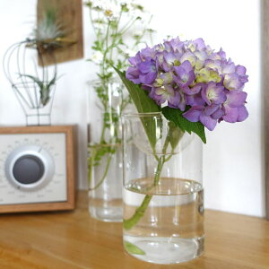 BULB VASE ͔|KXx[X NA V[g k͔| ԕr
