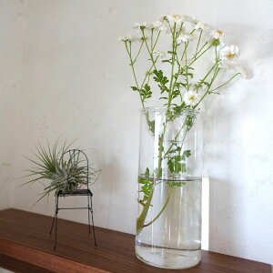 BULB VASE ���͔|�K���X�x�[�X �N���A �����O ���k�͔| �ԕr