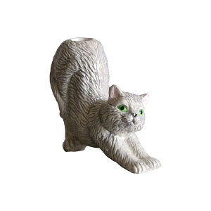 Aj}x[X cats ԕr ֑} u L lR