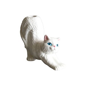 �A�j�}���x�[�X cats �ԕr ��֑}�� �u�� �L �l�R