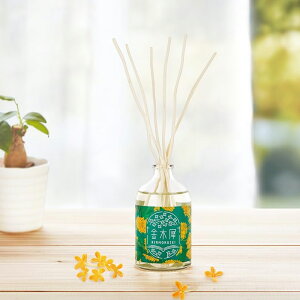 ؍ LNZC [hfBt[U[100mL  ̖F O[ov_NgvjO u^ [tOX