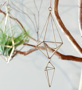 _CI[ig 2A in bloom Cu[ I[ig GA[vc 9225-0007