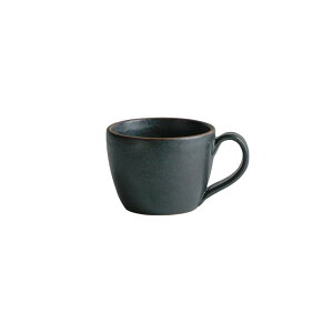 KINTO TERRA }O 300ml Lg[ }OJbv R[q[Jbv e