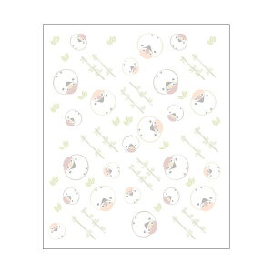 ӂ琝(a)y ()z30^E₨@