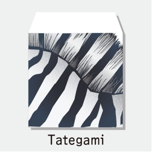 y2026NNʑ܁z܂܂̎ ^RCp|` 3×1Zbg Nʑ܁Eۂ