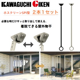 ホスクリーン／着脱式軒天用物干　2本1セット　SPI-65／SPI-85　ブラック・ステンカラー／650mm・850mm2色展開