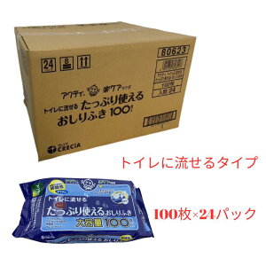 ANeB@邨ӂ100×24pbN(2400)