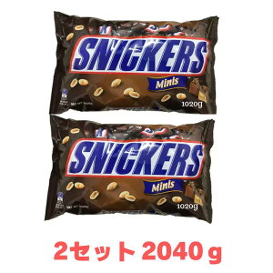 RXgR@}[X XjbJ[Y ~j`A1020g@s[ibc@`R@506829