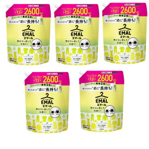 �y5�Z�b�g�z�ԉ� �G�}�[�� ������ꒅ�p��� ���t���b�V���O���[�� �l�� 2600ml