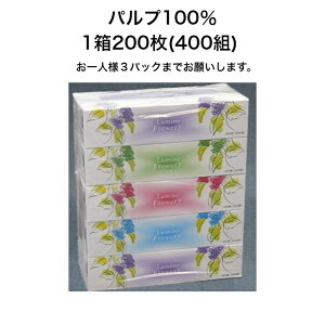 5箱 Boxティッシュの通販 価格比較 価格 Com