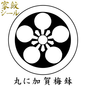 yƖV[zyۂɉ~ ߂΂zj tp n(\)6g  t t tHD \t \