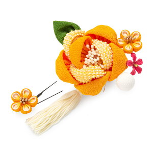 l Ǝ   ߂ ܂ݍ׍H 2_Zbg ܎O ̂  q sN IWyR[EUs Ԃ wAANZT[ z