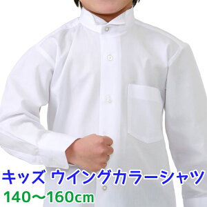 Vc j̎q  WjA w w ECOJ[  J[Vc 140`160cmyJԕiEsz