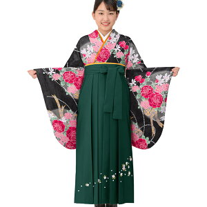 Ǝ уZbg 䕿 ڑ  hJ g_ ͂ U уZbg fB[X WjA w