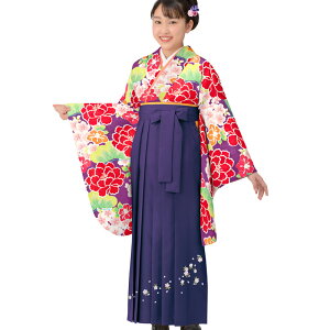 Ǝ уZbg 䕿 ڑ  hJ g_ ͂ U уZbg fB[X WjA w