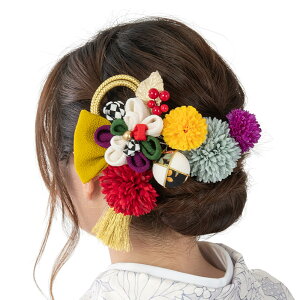  l     }`J[ _~ ^bZt R[EUs wAANZT[ ݂  ܎O 202501