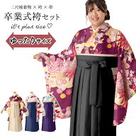 ぽっちゃりサイズ 卒服 卒業式 袴セット プラスサイズ ワイド着物 ワイド袴 ゆったり 大きい ラージ 小紋…