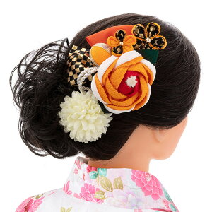  l R[EUsZbg ߂ ւƃ} wAANZT[ 202501