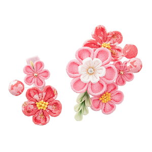  ߂ ܂ݍ׍H Nbv 2_Zbg