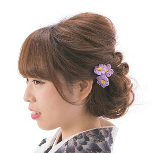  ߂ ܂ݍ׍H Us 3_Zbg ~j ܎O l Ǝ wAANZT[