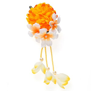   ܎O Nbv} sN  F IW   t a  v` wAANZT[ ݂ 