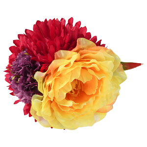 yzȉ ŏIlz l }Ɏz Ⴍ₭Q eɃ_A   sN  C N[   [Y ~g IW fB[X wAANZT[ ܎O 753