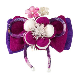 yzȉ ŏIlz l ߂񃊃{ ӂ~ wAANZT[ ݂  ܎O LbY