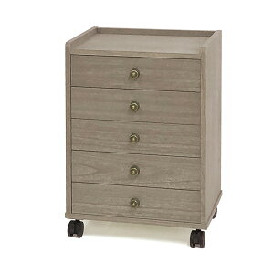 A4[˃`FXg5i 5i˒\y ˂ ˃^X 40×s30×57.5cmO[ ICdグ LX^[t ː[ [P[X ˈߑ ˔ O˖| Y