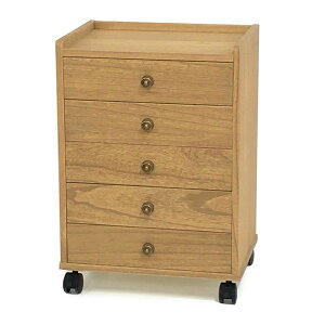 A4[˃`FXg5i 5i˒\y ˂ ˃^X 40×s30×57.5cmi` ICdグ LX^[t ː[ [P[X ˈߑ ˔ O˖| Y