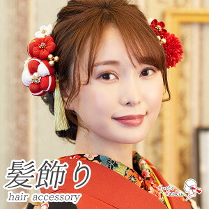 l U  12_Zbg ܂ݍ׍H Up Zbg ^bZ Us wAANZT[ a ANZT[ S[h    / OB ܎O 753   w Ǝ  u