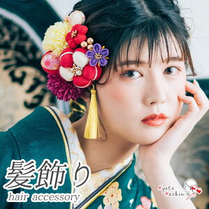 l U  12_Zbg ܂ݍ׍H Up Zbg ^bZ Us wAANZT[ a ANZT[ S[h C sN    / OB ܎O 753   w 