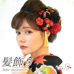 l U  12_Zbg ܂ݍ׍H Up Zbg ^bZ Us wAANZT[ a ANZT[ S[h    / OB ܎O 753   w Ǝ  u