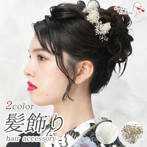 l U  3_Zbg Up Zbg ݑ Us wAANZT[ RT[W a ANZT[   S[h / OB ܎O 753   w Ǝ  uC