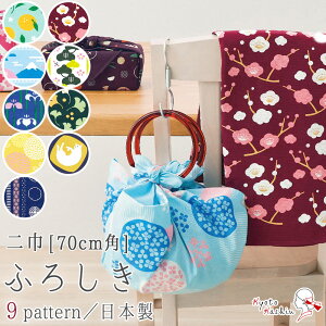 C~ 唻 70cm 100 YC~  唻C~ { ӂ낵 킢  g _ a Rbg C~  / Mq ~ xm |~   es ԔL 