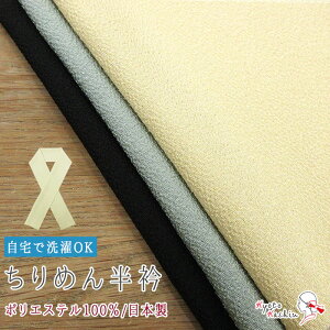  nJ[ ߂ S3F { / |GXe100 ƂŐ􂦂 OK /   @ Ki H~p   JWA Z~tH[} K⒅ Fn / fB[X  F