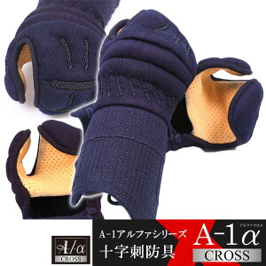  h PiwA-1 CROSSxy\hENXXeb`z