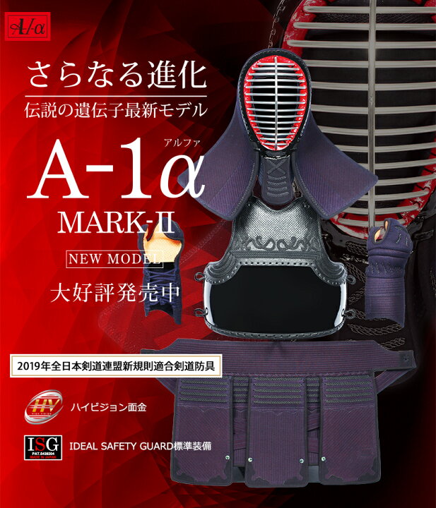 注目の 剣道用 防曇 Isgフェイスシールド 剣道防具 面 練習 稽古 Supplystudies Com