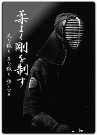 【剣道 稽古法 教則 DVD】柔よく剛を制す 足を鍛え 左を鍛え 強くなる