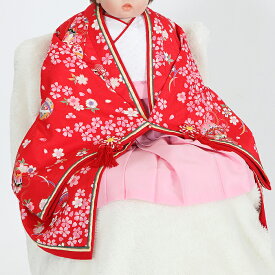 【レンタル】【1歳 お食い初め 100日祝い 初節句 レンタル】【一歳誕生日】【祝い着 レンタル】【祝い着 着物】【お食い初め レンタル】【お食い初め 着物】【初節句 レンタル】【初節句 着物】【着物レンタル】G100-1 お姫様/赤