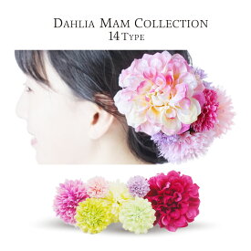 楽天市場 ダリア マム コレクションの通販